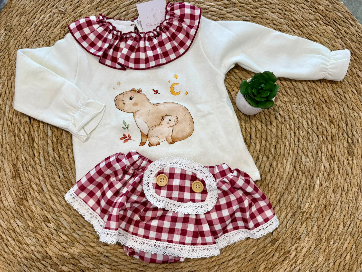 Conjunto capibara